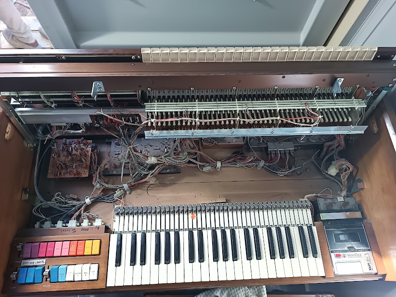 Overhead view showing both manual areas open — contact bus bars, circuit boards, and the full wiring harness